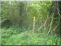 Waymarker by the gap in the hedge