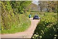 East Devon : Country Lane