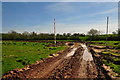 SY0097 : East Devon : Muddy Track by Lewis Clarke