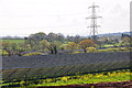 SY0097 : East Devon : Solar Farm by Lewis Clarke