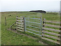 Gate on Glyndwr