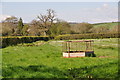 East Devon : Grassy Field