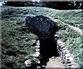 SO7800 : Entrance to Uley Long Barrow in 1981 by Clint Mann