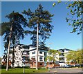 Part of Epping Forest College