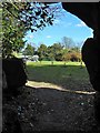 Rosshall Gardens: view through tunnel