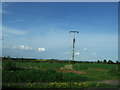 SO8773 : Utility Poles near Harvington by Chris Whippet