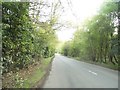 Chesham Road by the entrance to Champney