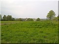 View over Pulborough