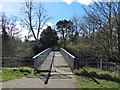 Footbridge over the White Cart Water