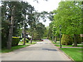 Looking along Park Avenue, Farnborough Park