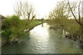 The River Thames looking west