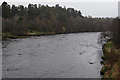 NJ0326 : River Spey From Spey Bridge. by Peter Trimming