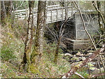 NR8674 : Bridge for the forestry track, Eas Mor by sylvia duckworth