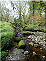 Looking Up Balsaggart Burn