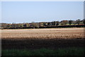 A field of stubble