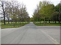 Avenue of Trees, Leeds Castle Grounds