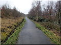 Path to Penybryn Road, Perthcelyn