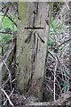 Benchmark on wooden gatepost at path junction