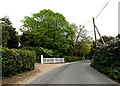 The Street, Geldeston