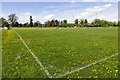 Rugby pitch at the Home Guard Club