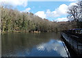 Pond in Gnoll Estate Country Park, Neath