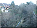 Railway trackbed, Gedling (2)