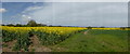 Field and Beccles in the distance, looking north