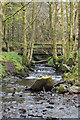 Footbridge over the burn