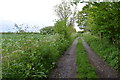 Track to Hodge Farm House