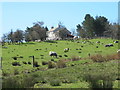 Rough pastures west of the old Corn Mill