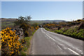 Road near Lakin Farm