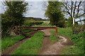 Barnbow Lane towards Scholes