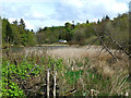 Kirkbride Pond