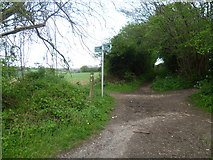 TQ4363 : Bogey Lane by Marathon