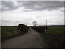 SK6644 : Lane east from Bulcote Farm by Richard Vince
