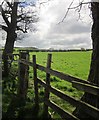 Field beside Fountains Lane