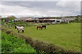 North Devon : Lower Yelland Farm