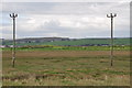 North Devon : Isley Marsh