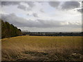 Farmland above Burton Joyce (1)