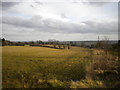 Farmland above Burton Joyce (2)