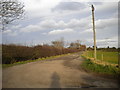 Track to Bulcote Lodge Farm