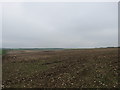 Wolds  fields  north  of  North  Cotes  Road