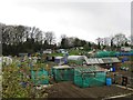 Allotment Gardens, Whickham