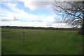 Grassland near North Lodge