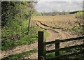 Arable field near Ingerthorpe Hall