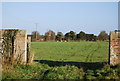 Pasture through a hole in the wall