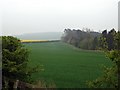 An arable field at  Lurdenlaw Farm