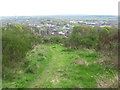 Path to the Fereneze Braes