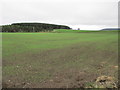 Arable land near Upper Knockando