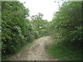 Field access by the by-pass